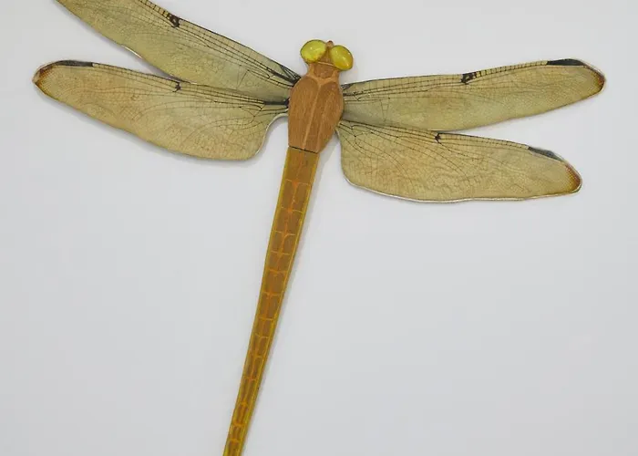 Alfama Heart, Walk Everywhere W Ac, By Timecooler *